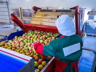 Empresa de exportação de alimentos